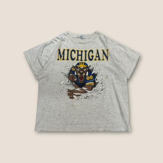 Michigan wolverines grey and yellow